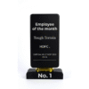 Elegant Black Corporate Trophy Award by Jazka Traders – Premium Recognition Trophy