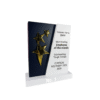 Premium Star Corporate Trophy Award by Jazka Traders – Modern Achievement Recognition Trophy