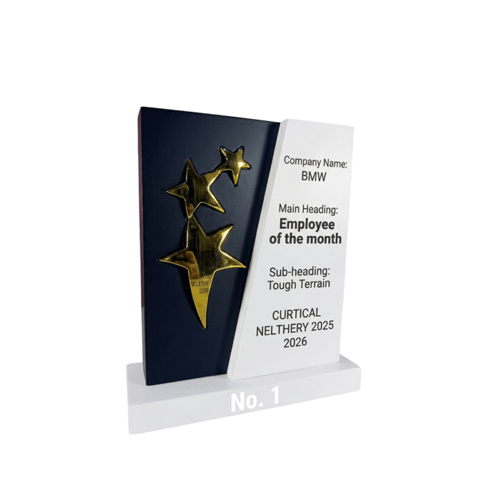 Premium Star Corporate Trophy Award by Jazka Traders – Modern Achievement Recognition Trophy