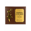 Premium Wooden Star Recognition Plaque by Jazka Traders – Corporate Achievement Award