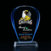 Blue Edge Crystal Acrylic Award Trophy