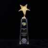 Crystal Acrylic Trophy with Gold Star