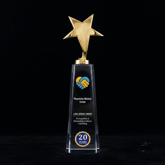 Crystal Acrylic Trophy with Gold Star