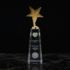 Crystal Acrylic Trophy with Gold Star