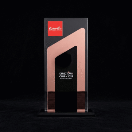 Modern Crystal Acrylic Trophy