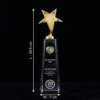 Crystal Acrylic Trophy with Gold Star