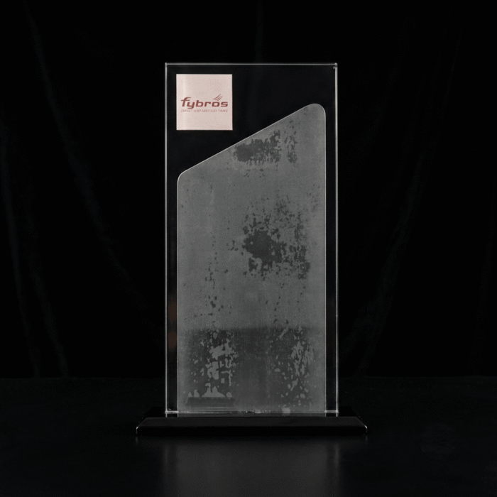 Modern Crystal Acrylic Trophy