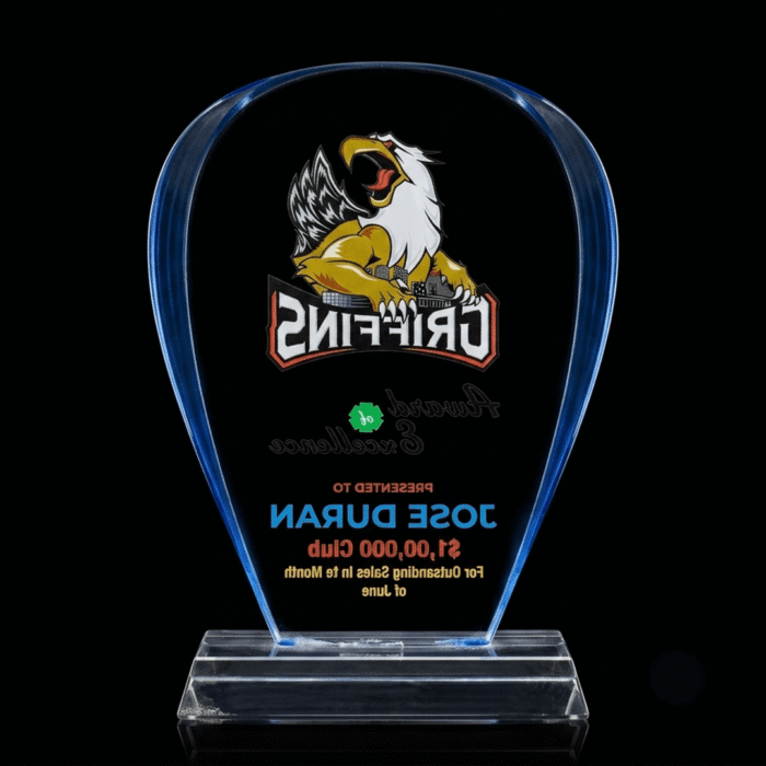 Blue Edge Crystal Acrylic Award Trophy