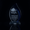 Blue Flame Crystal Acrylic Trophy