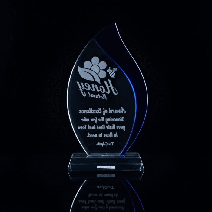 Blue Flame Crystal Acrylic Trophy