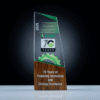 Glass Award Trophy with Wooden Base
