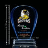 Blue Edge Crystal Acrylic Award Trophy