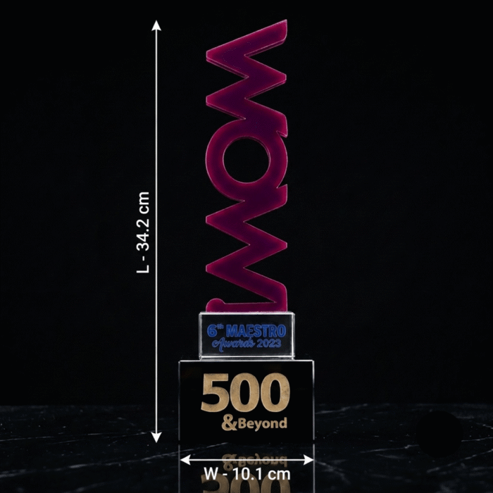 Designer Crystal Acrylic Trophy