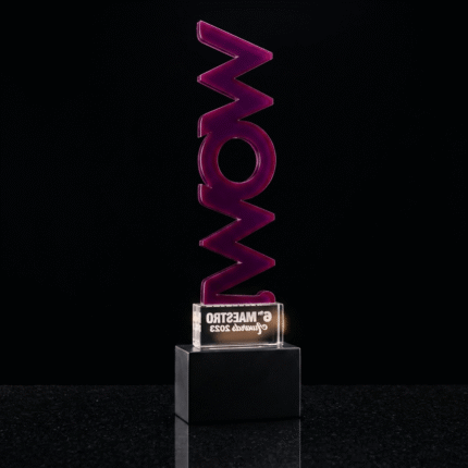 Designer Crystal Acrylic Trophy