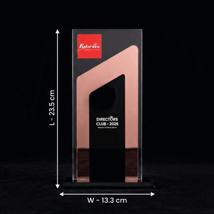 Modern Crystal Acrylic Trophy