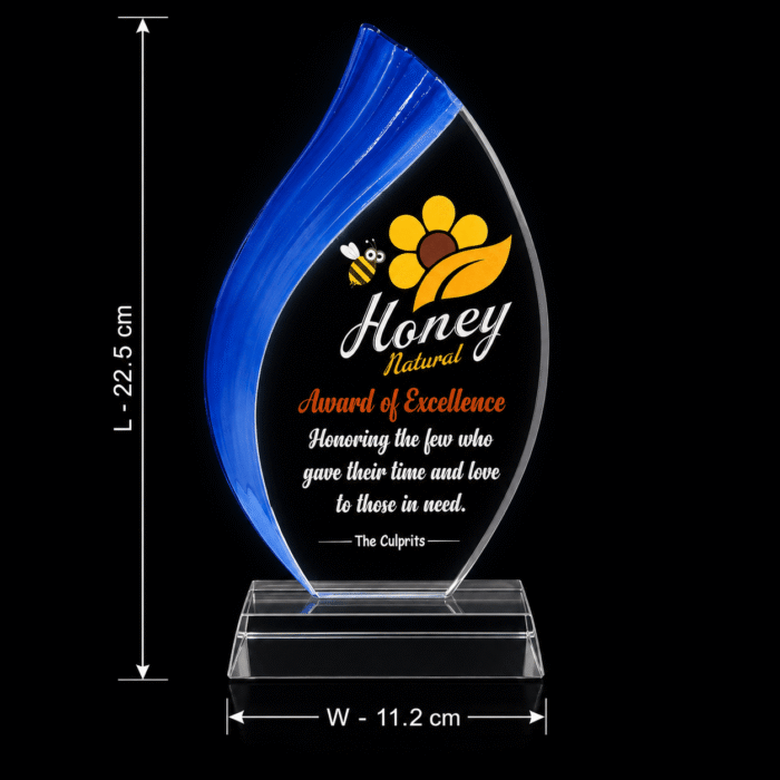 Blue Flame Crystal Acrylic Trophy